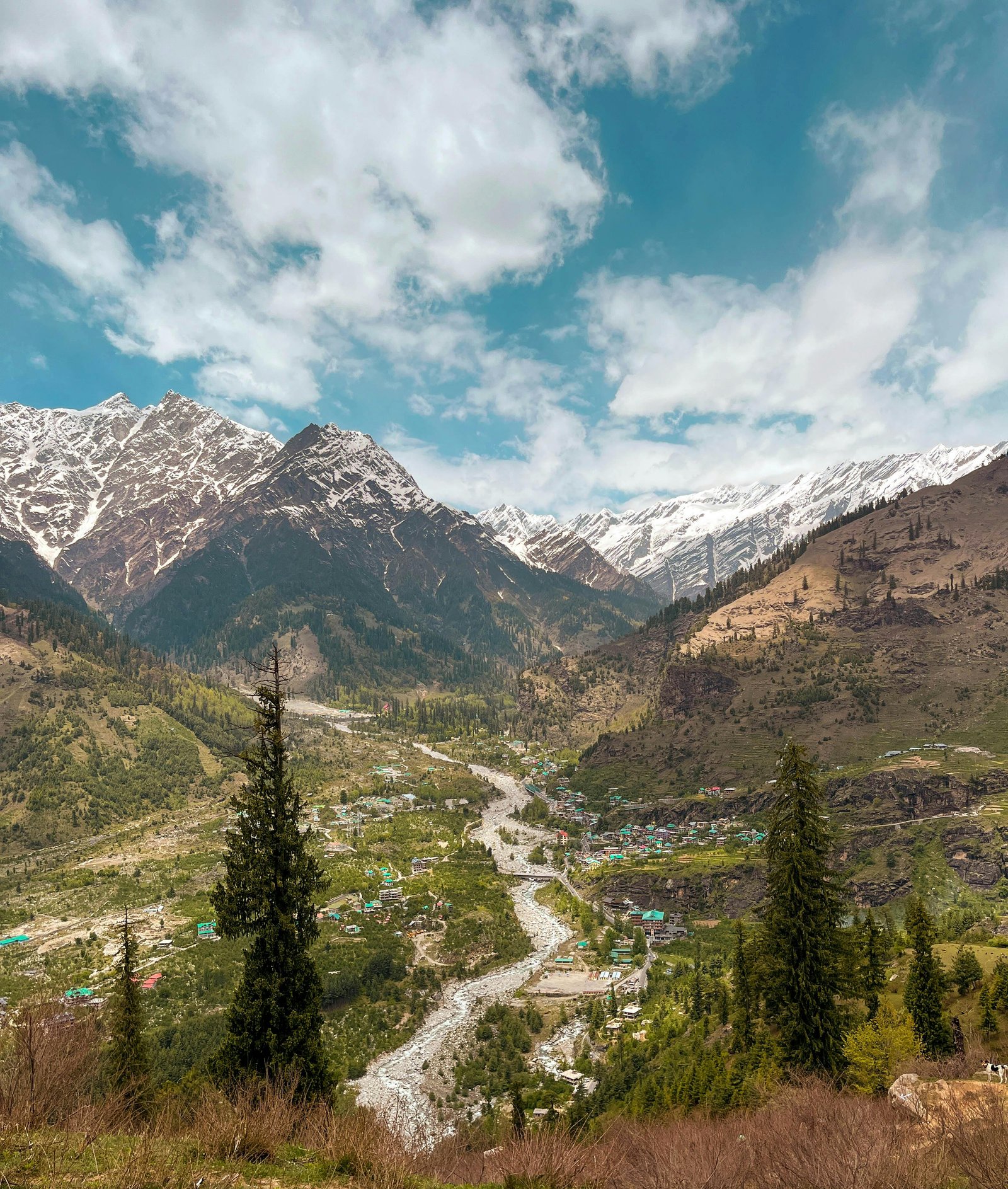 Manali, Sissu & Kasol Snow Group Trip
